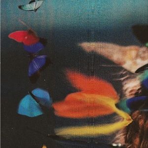 Meet your Posher, Peyton